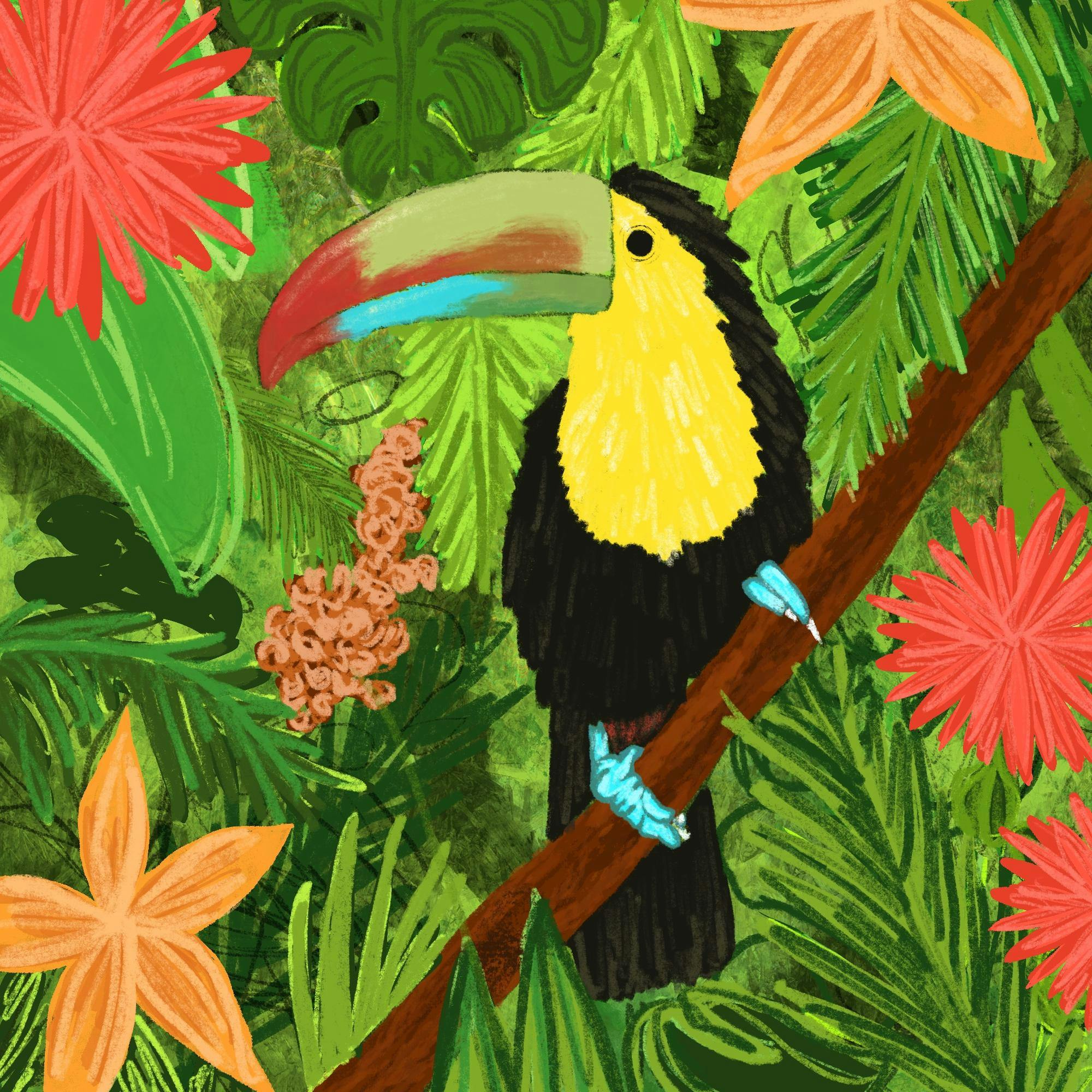 New Tufts in Costa Rica Program 