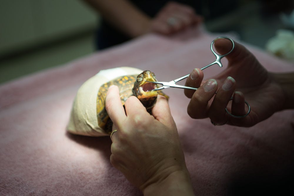 2014-08-22-Wildlife-Clinic-30