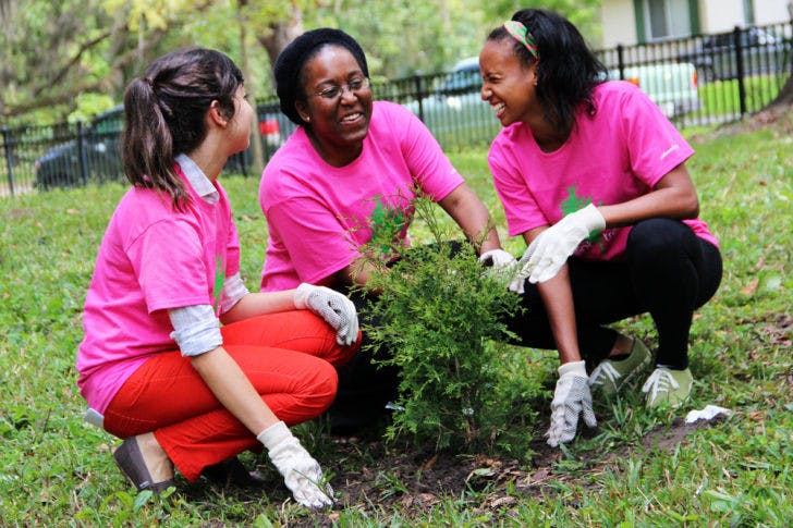Taylor Cremo, 22, left, Shekinah Ellis, 21, center, and Monique Harris, 22, right, volunteer to plant trees near the President’s House as part of Tree Campus USA efforts.