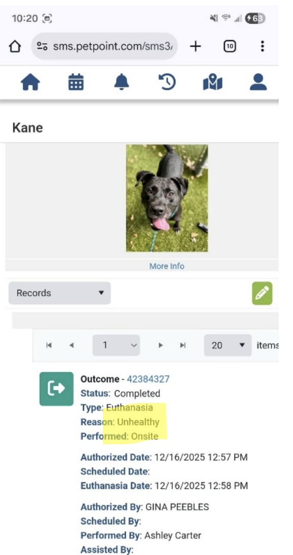 In his whistleblower email, Anthony Friedell included a screenshot of the euthanasia record of Alachua County Animal Resources shelter dog Kane. The authorization date and euthanasia date marked by Gina Peebles were recorded within a minute of each other.