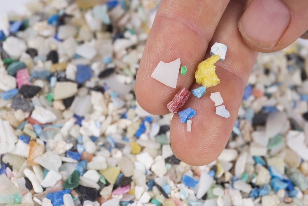 A pile of microplastic collected by The Florida Microplastic Awareness Project. Plastics like these are among the top ocean pollutants, according to Savanna Barry, a Cedar Key volunteer coordinator with the project.  