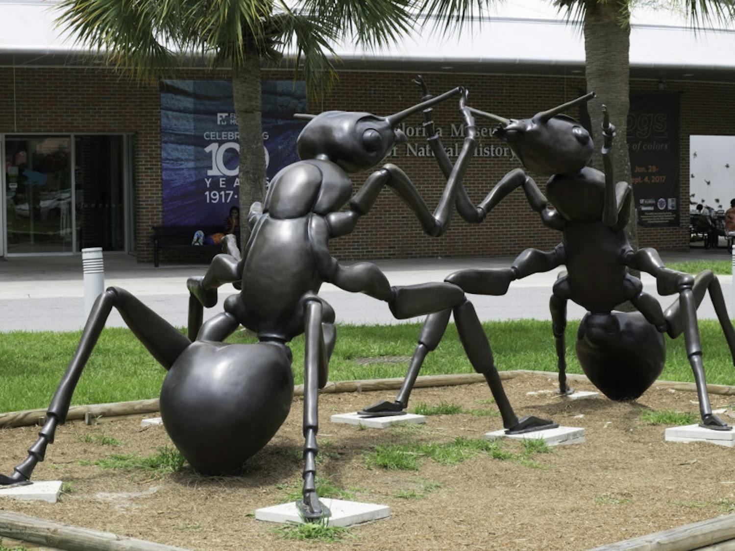 The Florida Museum of Natural History’s ant statues, “X” and “O,” were given back to the artist after spending two years in Gainesville.