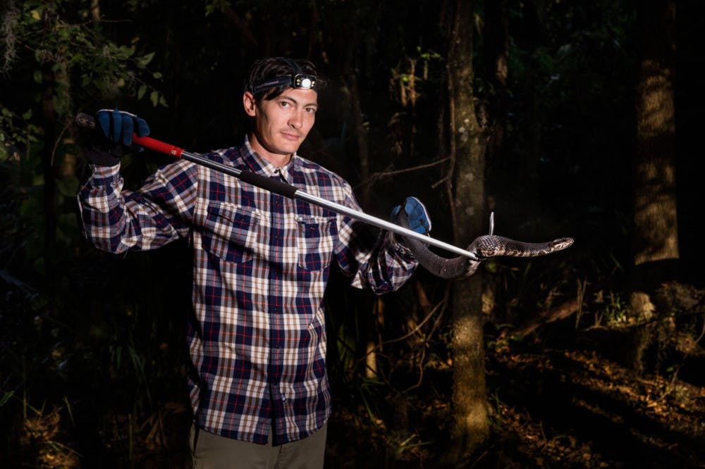 Mark Sandfoss, a 32-year-old UF zoology doctoral student, holds up a Florida cottonmouth snake at Seahorse Key, Florida. Sandfoss is researching how the snakes are being affected by the loss of birds on the island.