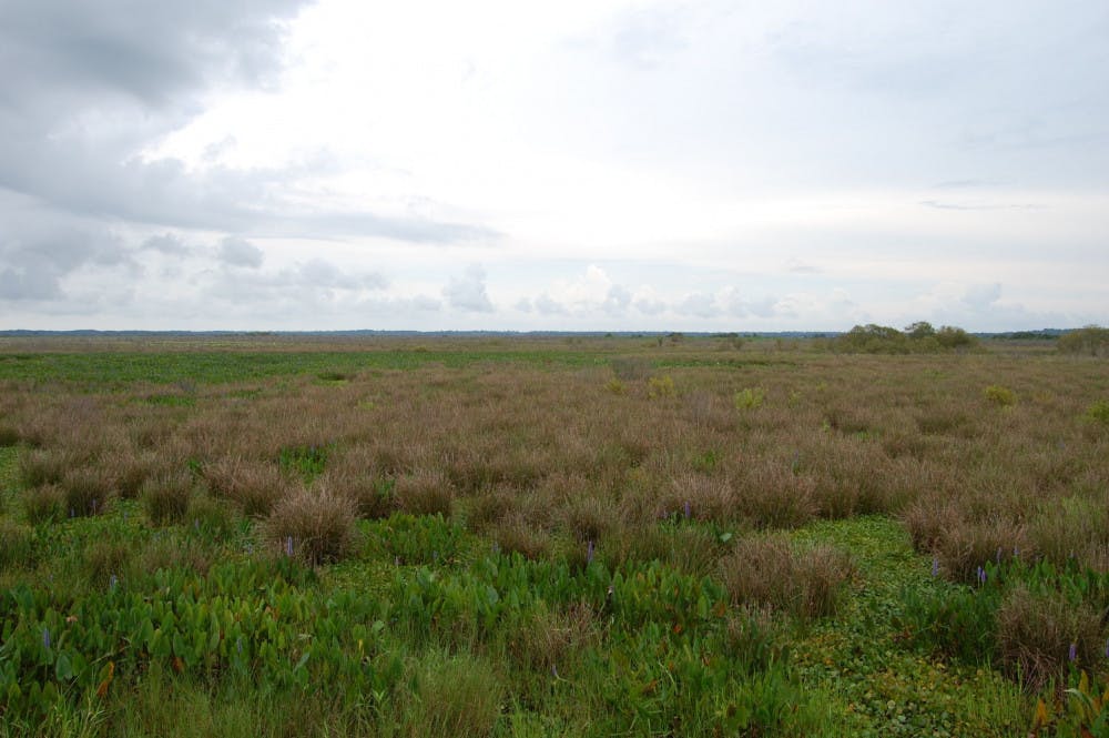 Bolen Bluff Trail Overlook