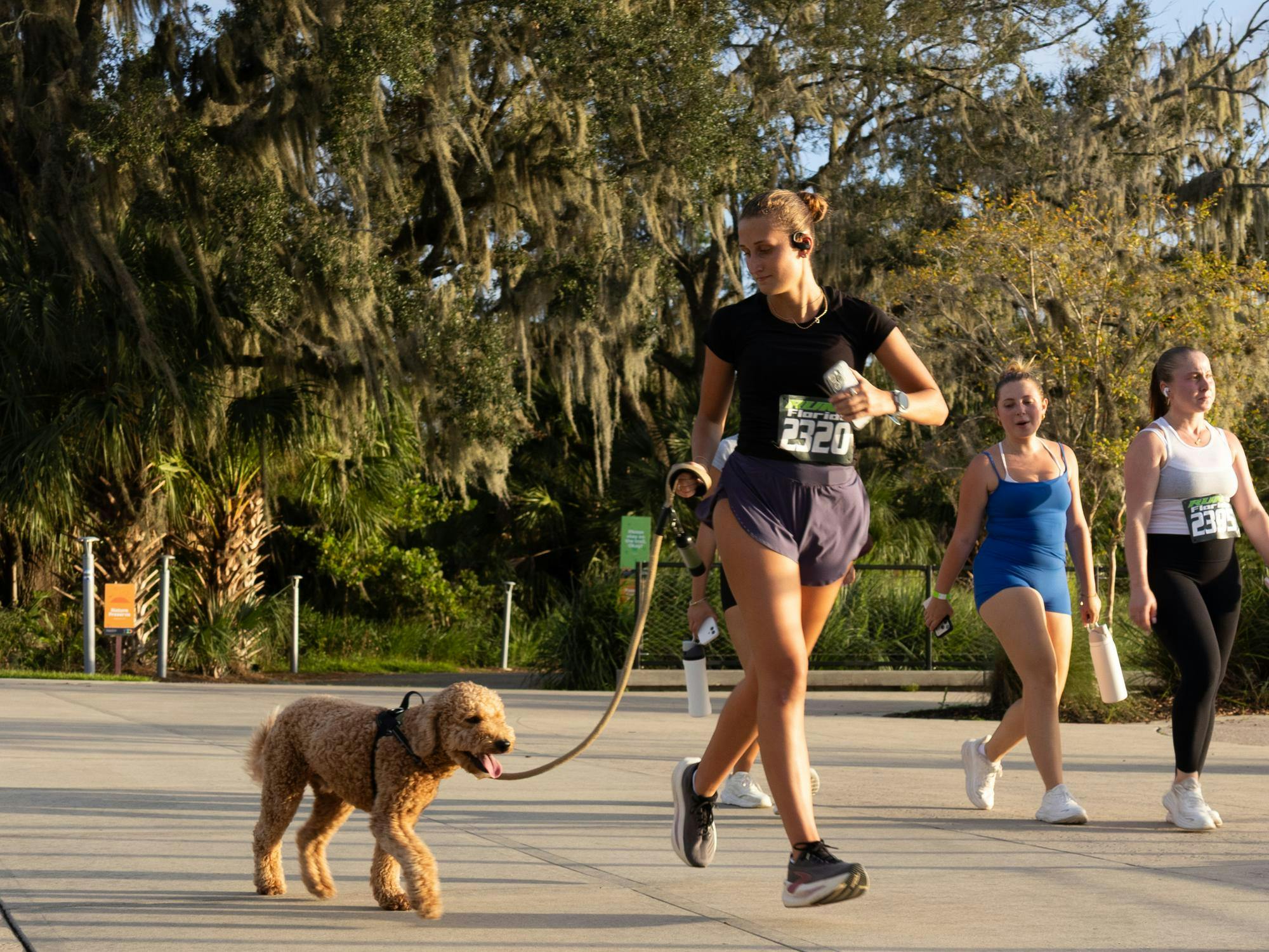 Runner with dog at UF’s Gator Growl Chomp for Charity 5k with The Humane Society of North Central Florida in Depot Park on Wednesday, Sept. 16, 2026 in Gainesville, Fla.