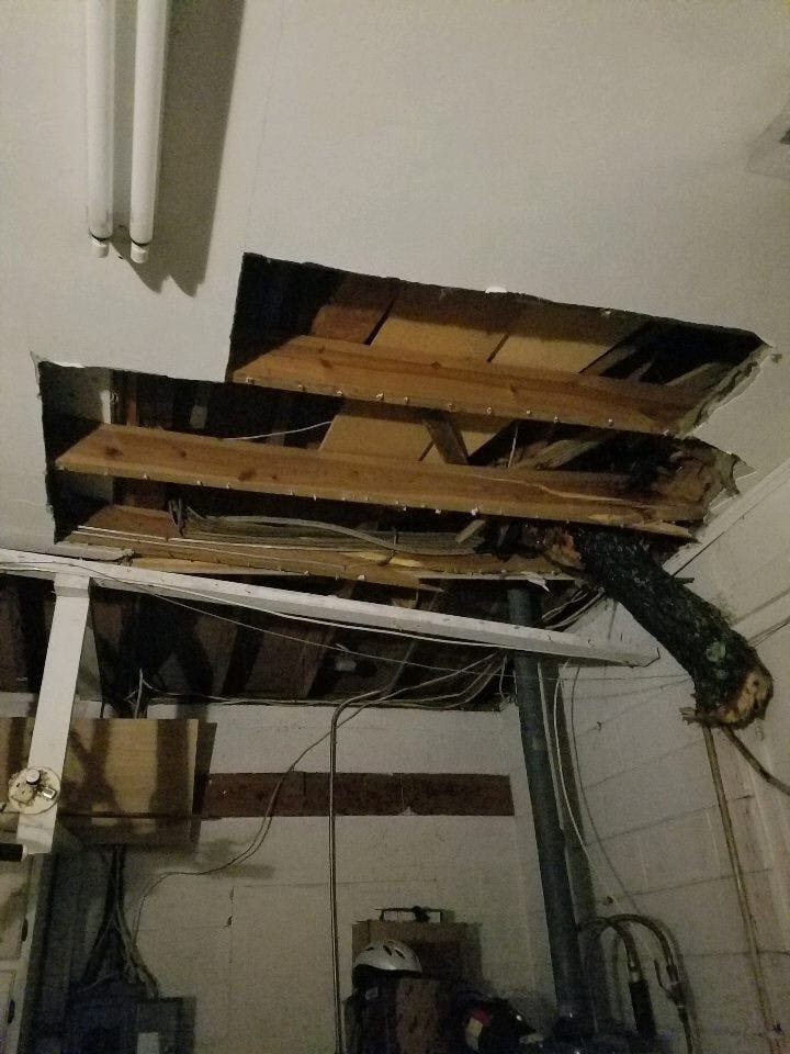 Pictured above is part of a tree that broke the main gas line in Joshua Layton's home during Hurricane Irma. The 23-year-old UF sociology senior had to live with a friend for a month after the storm.&nbsp;
&nbsp;