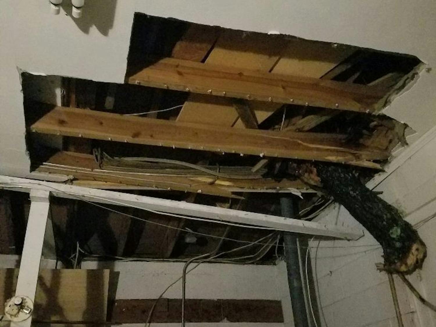 Pictured above is part of a tree that broke the main gas line in Joshua Layton's home during Hurricane Irma. The 23-year-old UF sociology senior had to live with a friend for a month after the storm.
