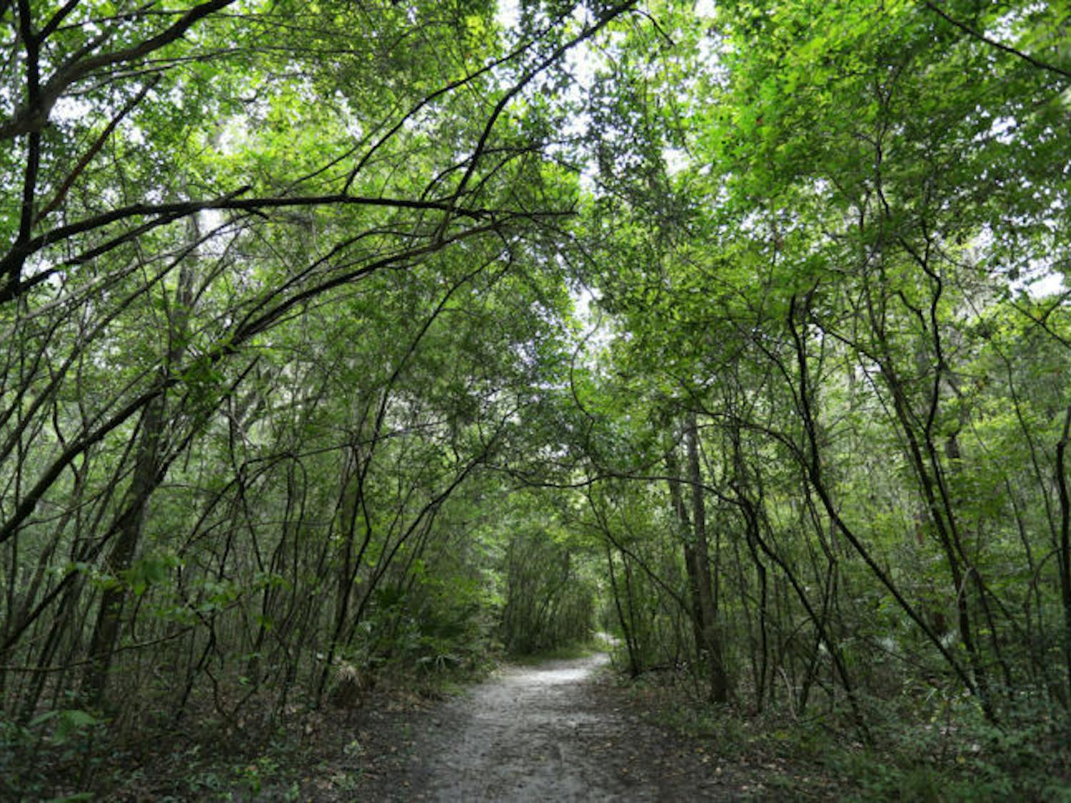 Loblolly Woods, a city-owned property about 10 minutes away from Midtown, is potentially up for sale. Activists organized an awareness hike along its trails on Sunday.