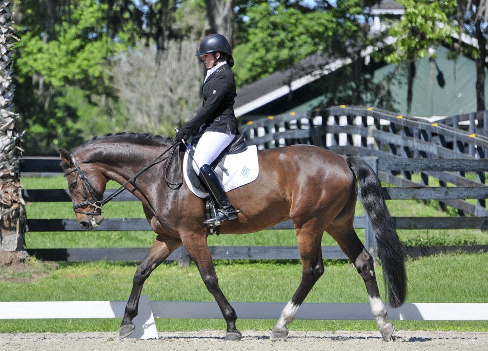 <p>Alexis Rossetti, a 19-year-old UF political science and international studies sophomore, is one of five UF students who will compete in the Intercollegiate Dressage Association’s 2016 National Championship in New Jersey on Saturday and Sunday.</p>