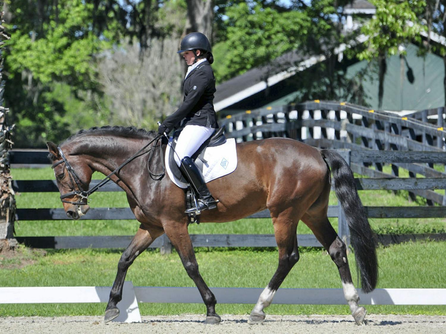 Alexis Rossetti, a 19-year-old UF political science and international studies sophomore, is one of five UF students who will compete in the Intercollegiate Dressage Association’s 2016 National Championship in New Jersey on Saturday and Sunday.