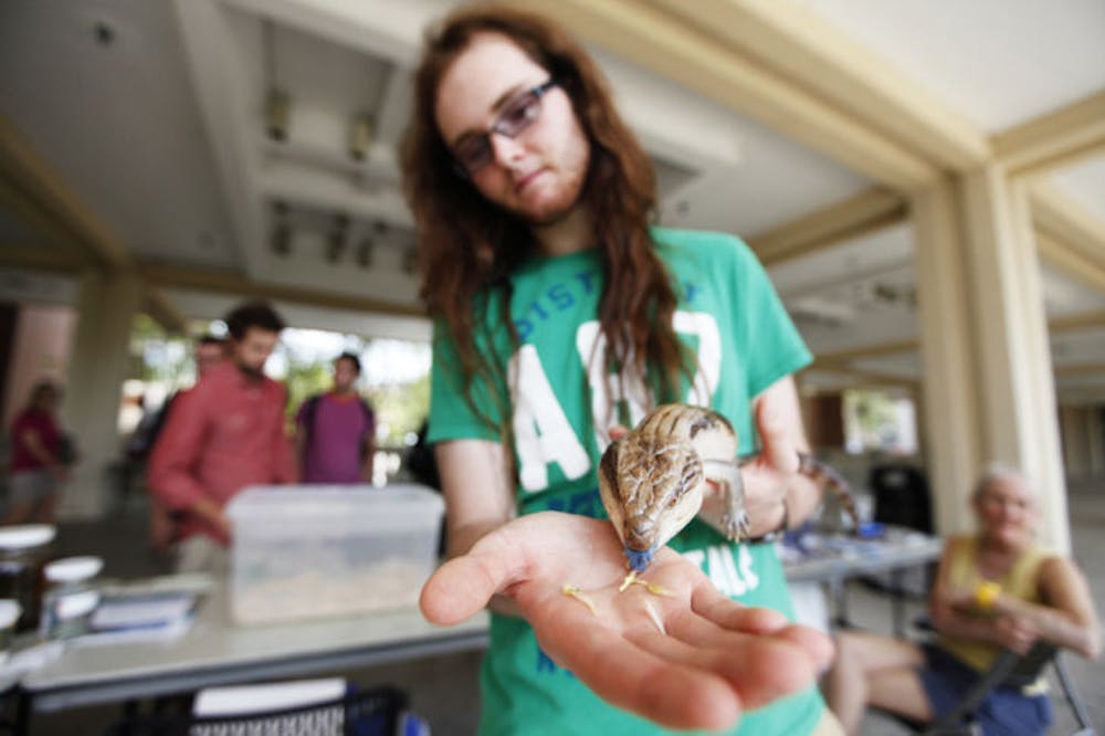 <p>Sean McKnight, 19, a UF wildlife ecology and conservation freshman, holds his 16-year-old blue tongued skink, Jett, during the UF Exotic Pet Amnesty Day on the Reitz Union Colonnade on Tuesday.</p>