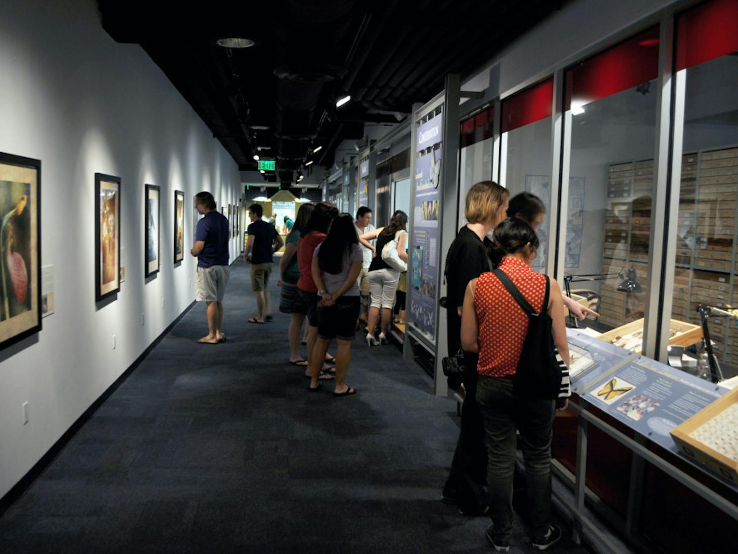 Groups of interested onlookers peruse “Botanical Chords,” a nature exhibit at the Florida Museum of Natural History.