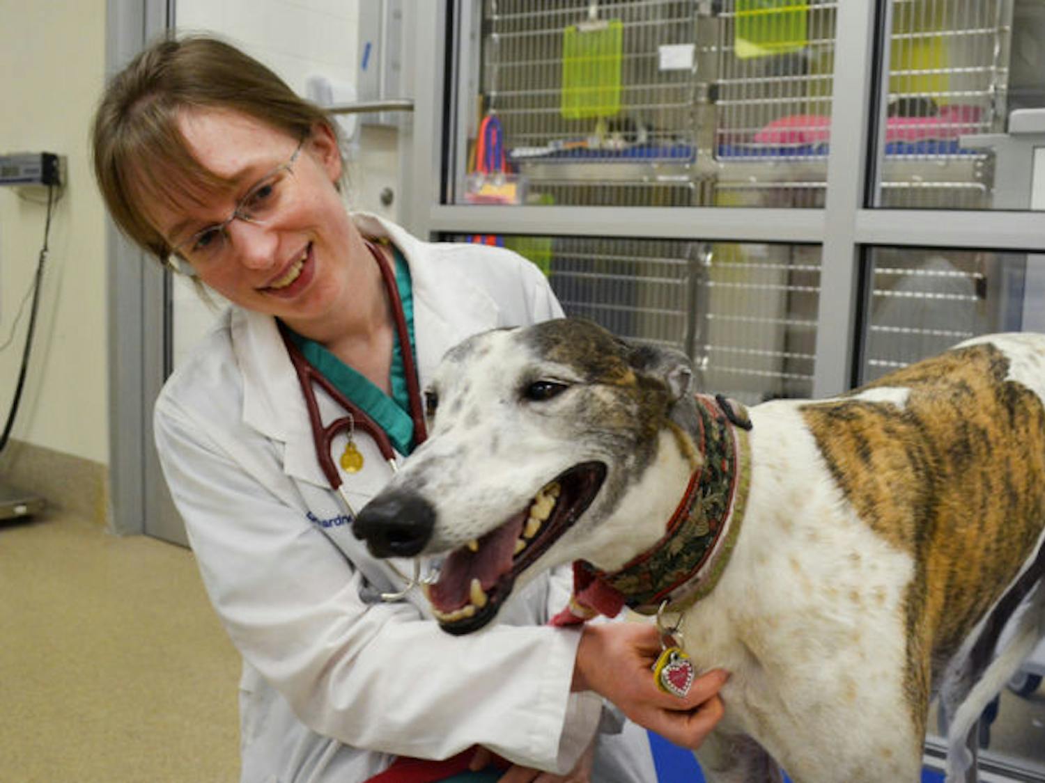 Dr. Heather Gardner, a 29-year-old oncology intern at the University of Florida Small Animal Hospital, performs an exam on Anora, a greyhound with cancer.