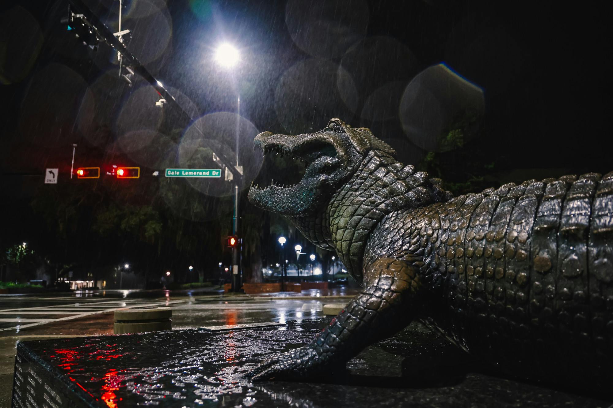 Flurries fall on the University of Florida campus as Winter Storm Enzo passes by on Wednesday, January 22, 2025.
