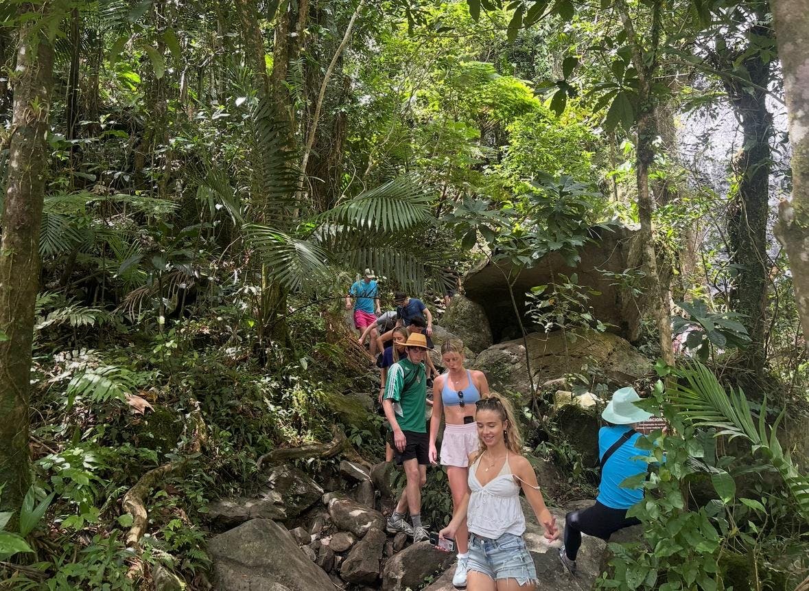 A group descends a waterfall path Friday March 20, 2026 in El Yunque National Forest, Puerto Rico. 