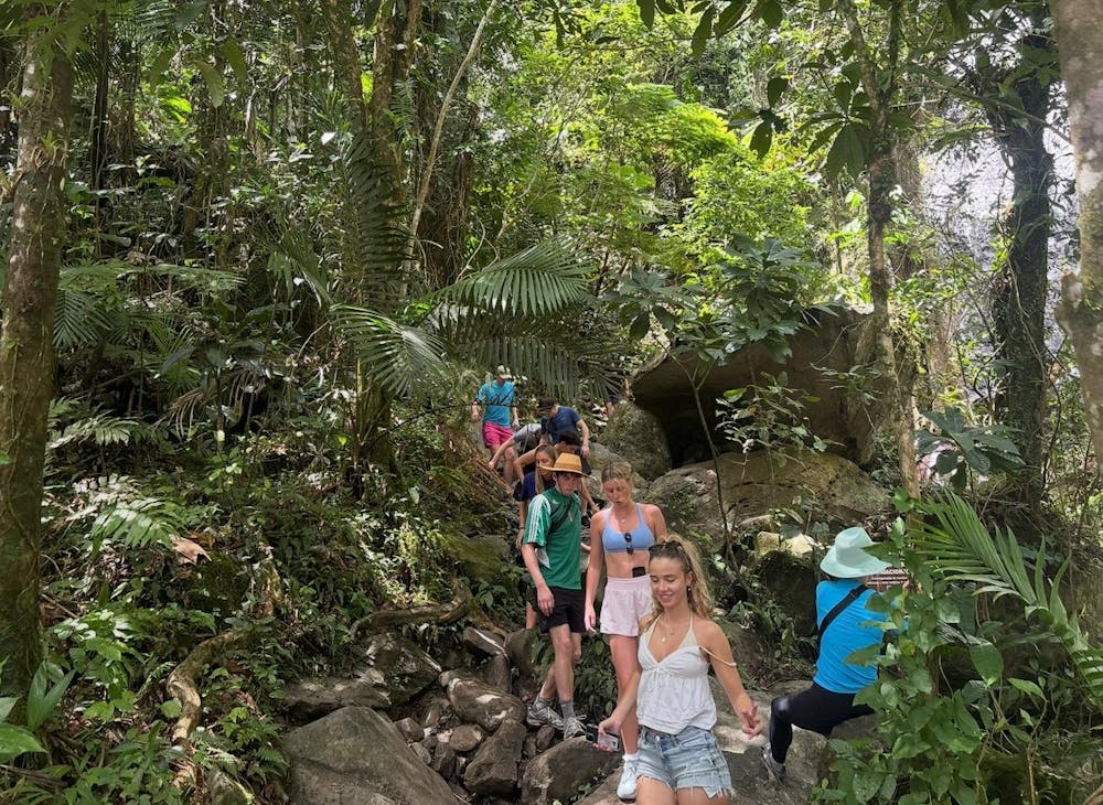 A group descends a waterfall path Friday March 20, 2026 in El Yunque National Forest, Puerto Rico. 