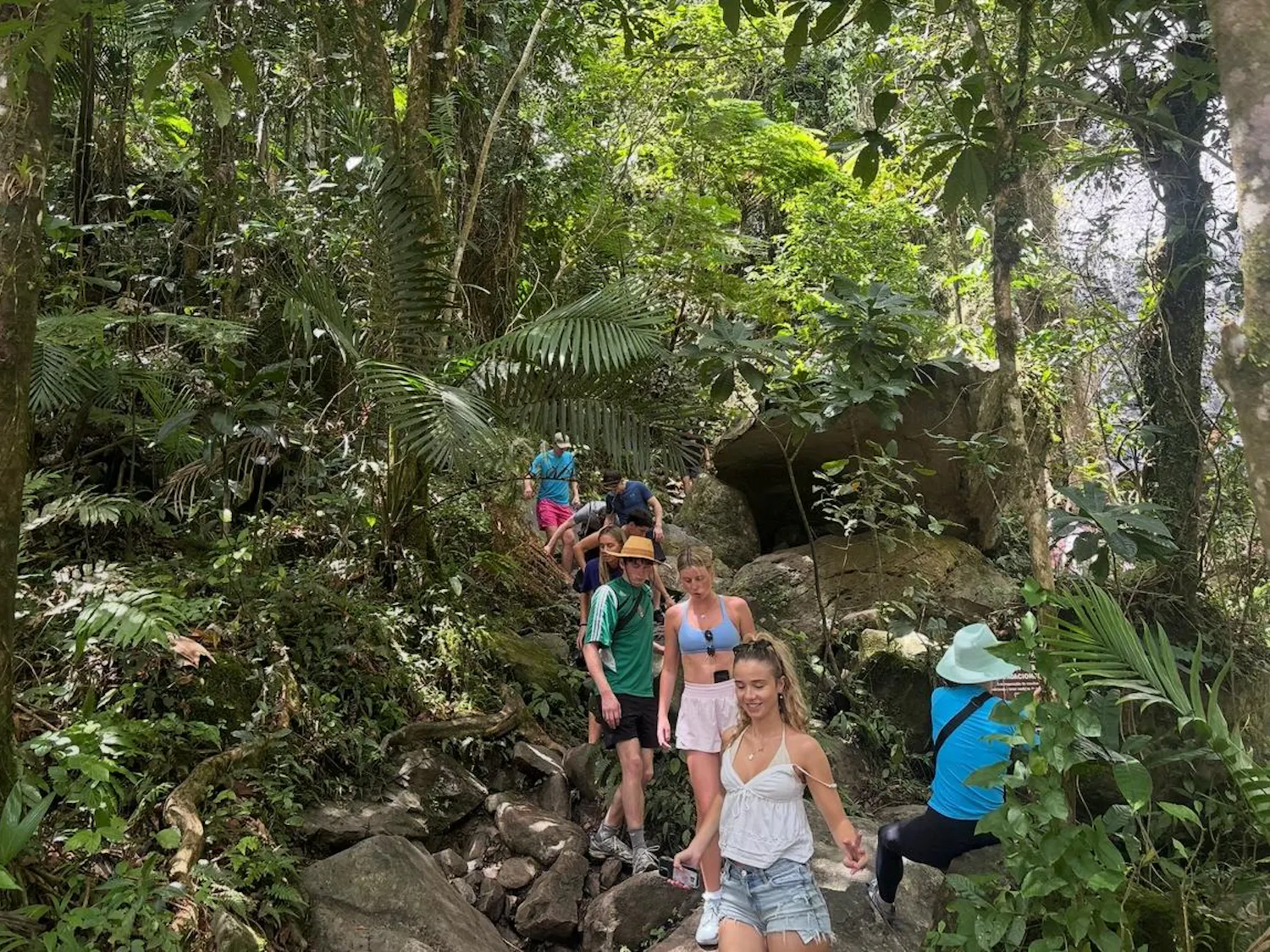 A group descends a waterfall path Friday March 20, 2026 in El Yunque National Forest, Puerto Rico.