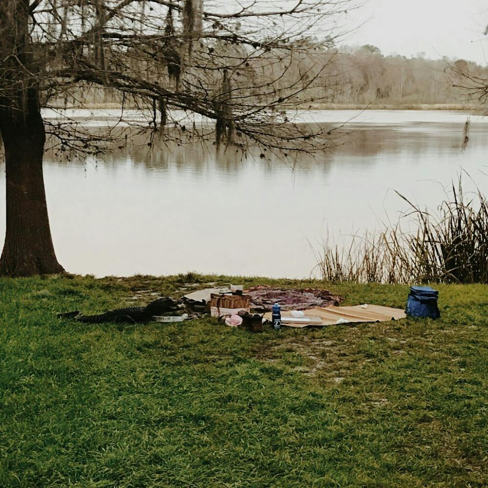 The alligator ate a couples' chicken salad wraps and grabbed a camera, worth about $50, and dragged it into Lake Alice on Tuesday.