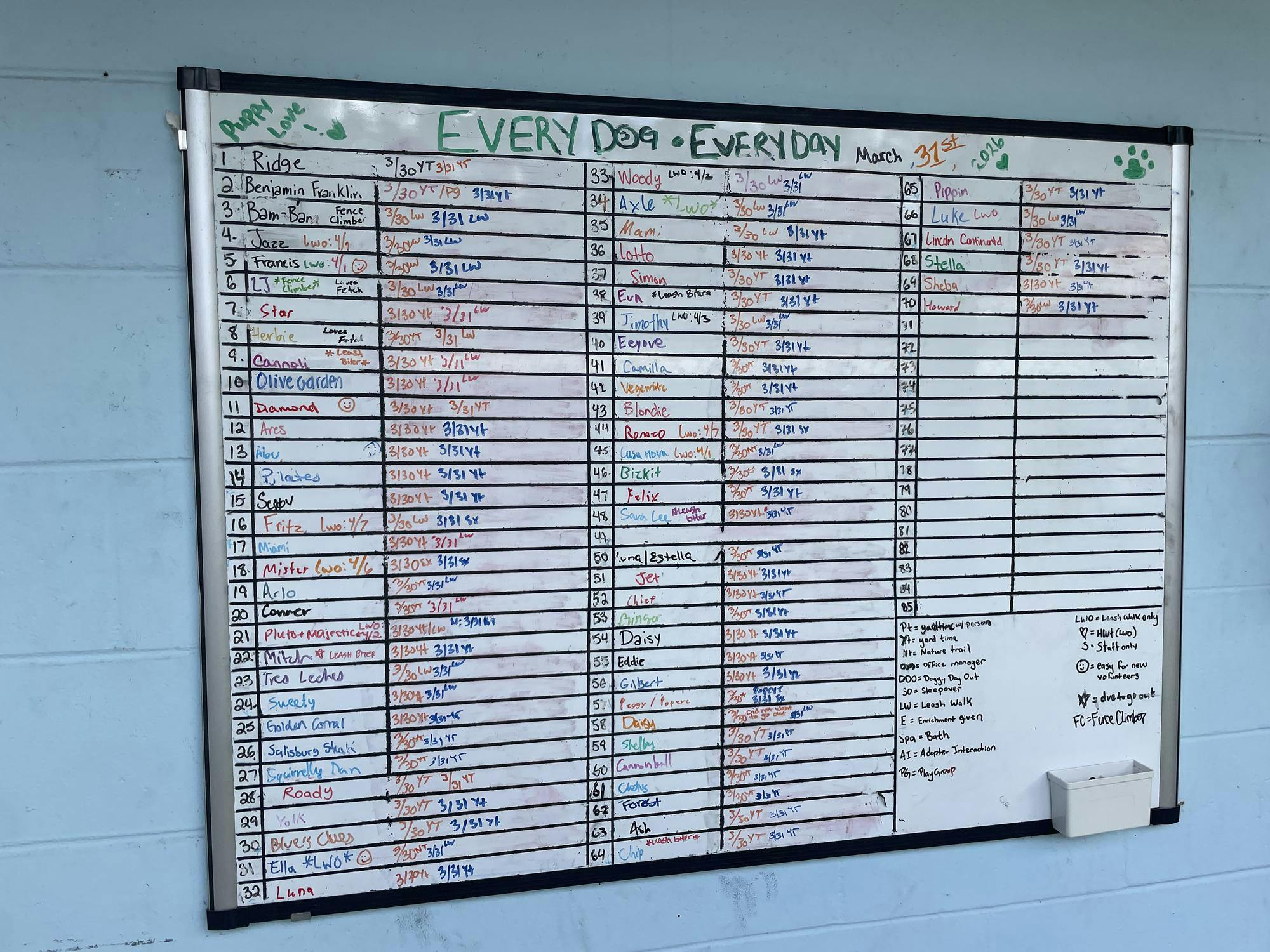 A chart at Alachua County Animal Resources tracks which dogs have been let out of their kennels on March 31, 2026.
