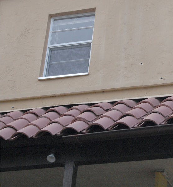 Bullet holes dot the wall at Campus Walk Apartments on Monday. Michael Dennison, 41, fired at apartment 50 on Wednesday after getting into an argument with friends.&nbsp;
