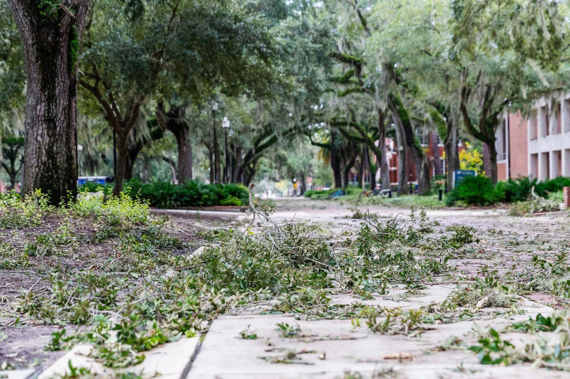 Debris fell on UF campus after Hurricane Helene.