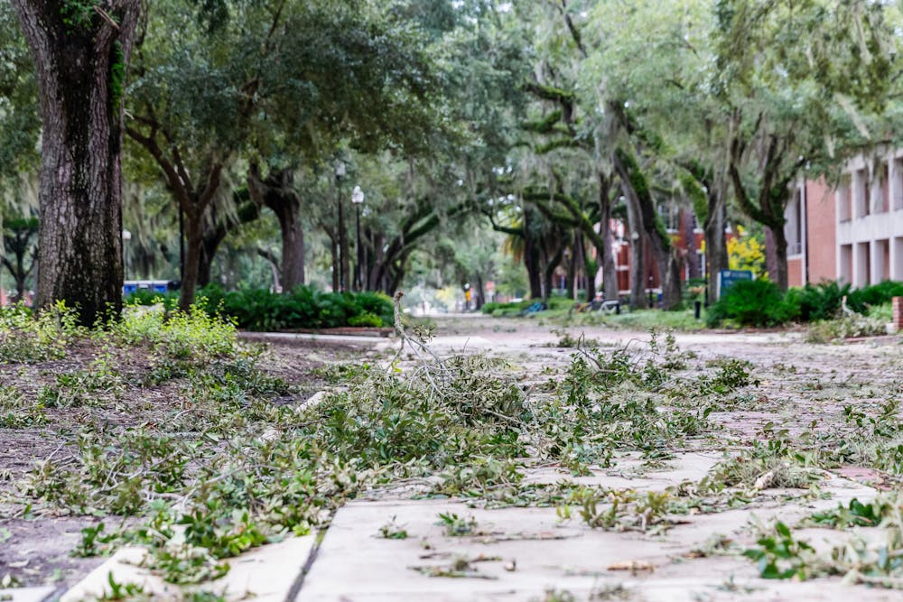 <p>Debris fell on UF campus after Hurricane Helene.</p>