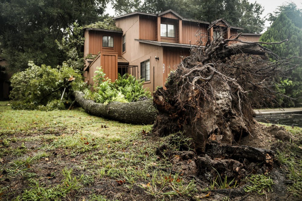 A tree fell on Rockwood Villas, located at 900 SW 62nd Blvd Ste 500 in Gainesville, during Hurricane Matthew next to an apartment on Friday.