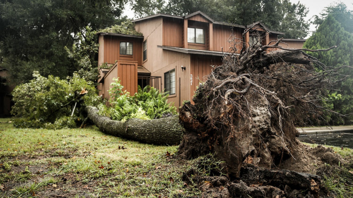 A tree fell on Rockwood Villas, located at 900 SW 62nd Blvd Ste 500 in Gainesville, during Hurricane Matthew next to an apartment on Friday.