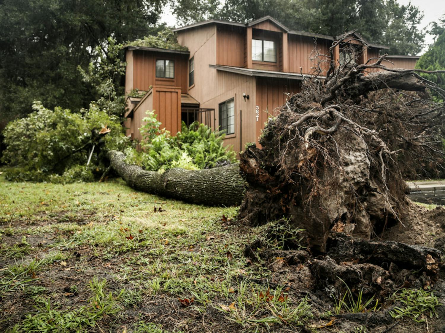 A tree fell on Rockwood Villas, located at 900 SW 62nd Blvd Ste 500 in Gainesville, during Hurricane Matthew next to an apartment on Friday.