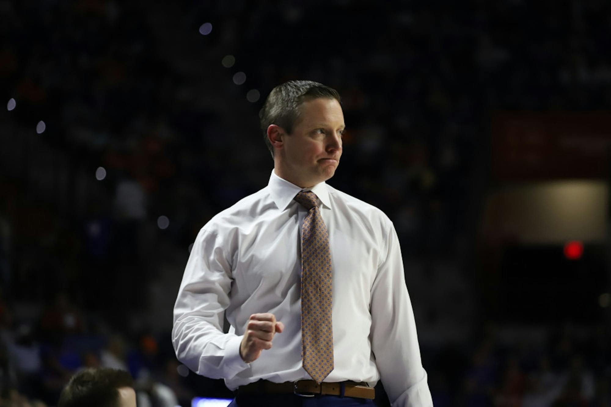 Mike White looks for a fresh opportunity at Florida's rival school - The Independent Florida Alligator - Vimarsana News
