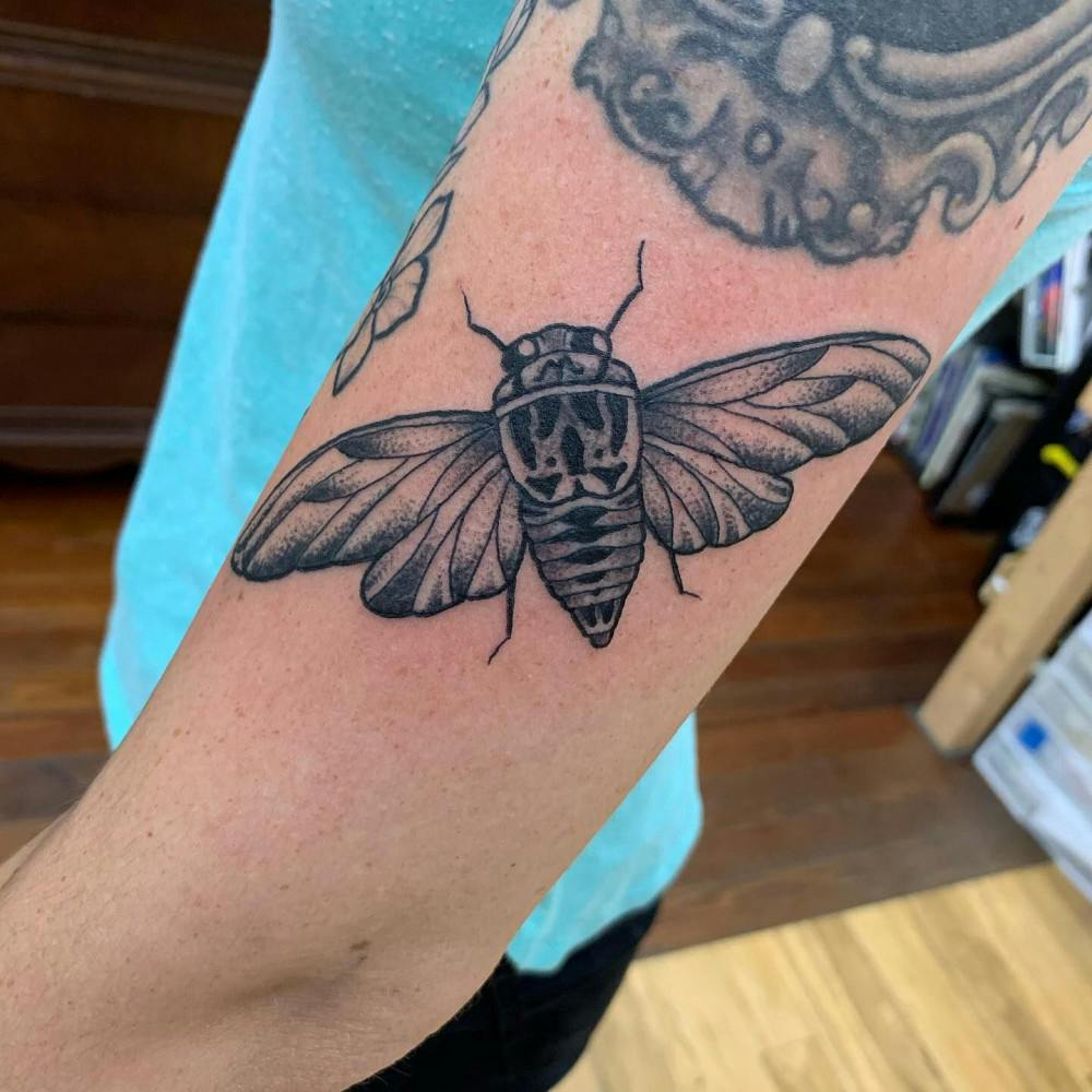 cicada tattoo