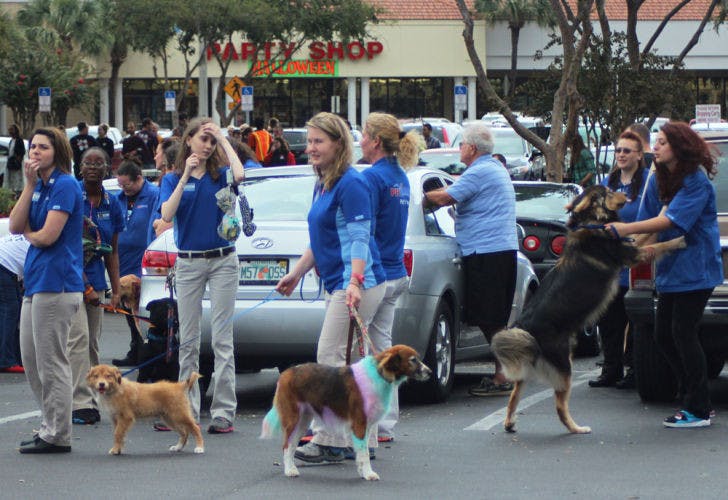 PetSmart employees and dogs stand in the parking lot after evacuating Monday while Gainesville Fire Rescue and Alachua County Fire Rescue work to extinguish the fire.