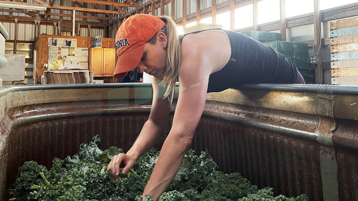 UF professor Hannah Mathews, 43, washes kale after volunteering to help harvest vegetables at Siembra Farm in Gainesville on Tuesday, May 4, 2021. She was among many volunteers who worked to harvest extra vegetables to give to local families in East Gainesville. (Photo by Joelle Wittig)
