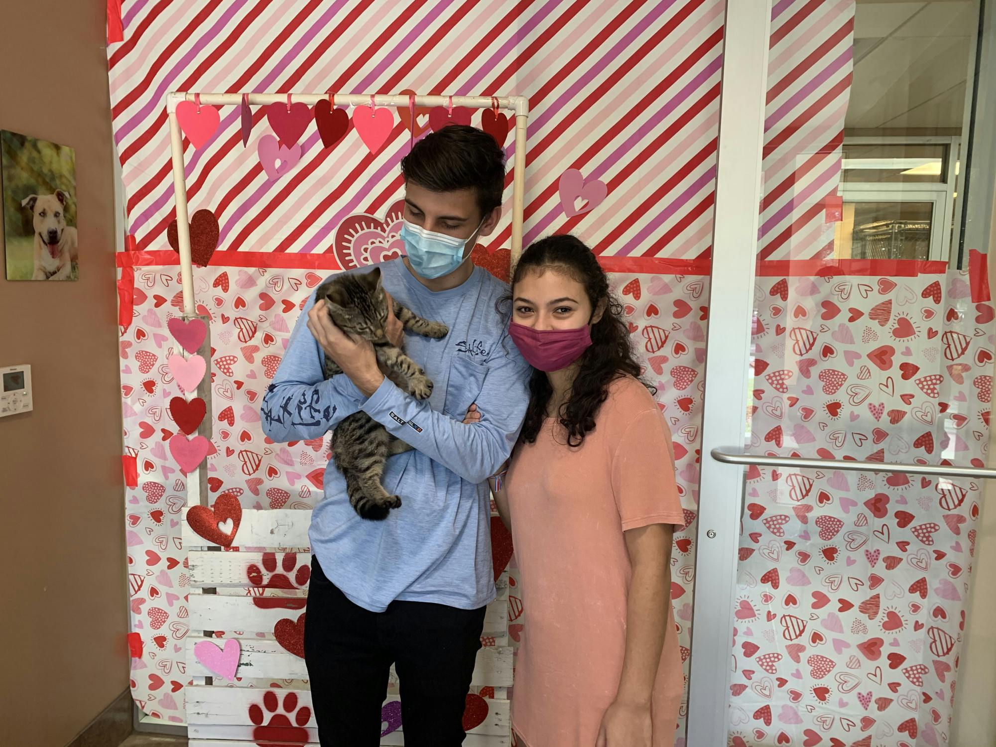 Tyson Torchia (left) and Nathaly Barrantes (right) hold their new kitten, Silas, at Alachua County Animal Services.