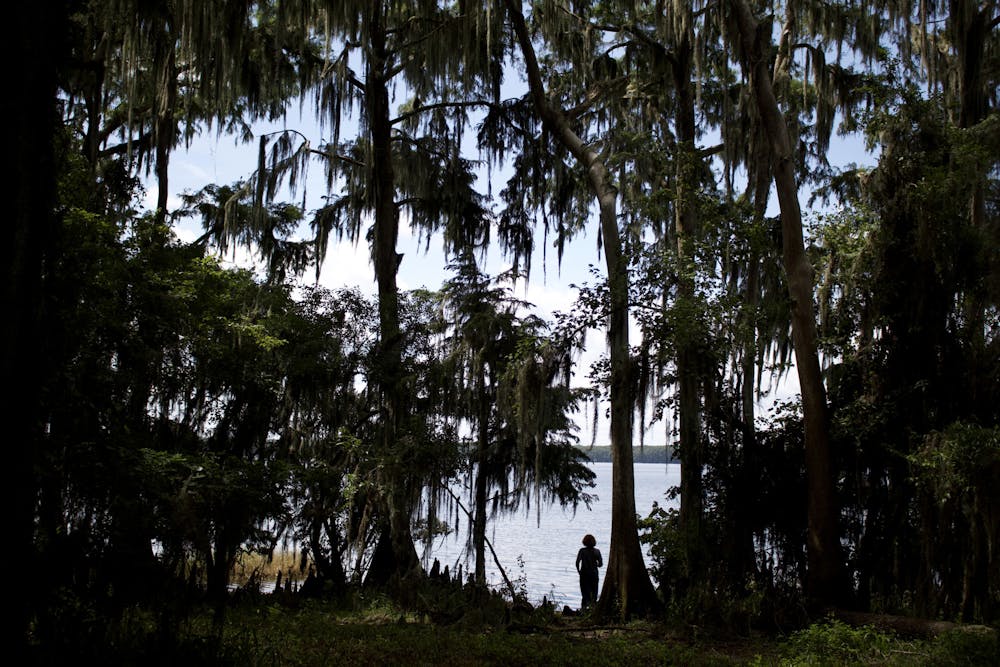 Newnan's Lake seen on Saturday, July 12, 2025. The Lake’s future is uncertain after the impact of incoming housing developments. 

