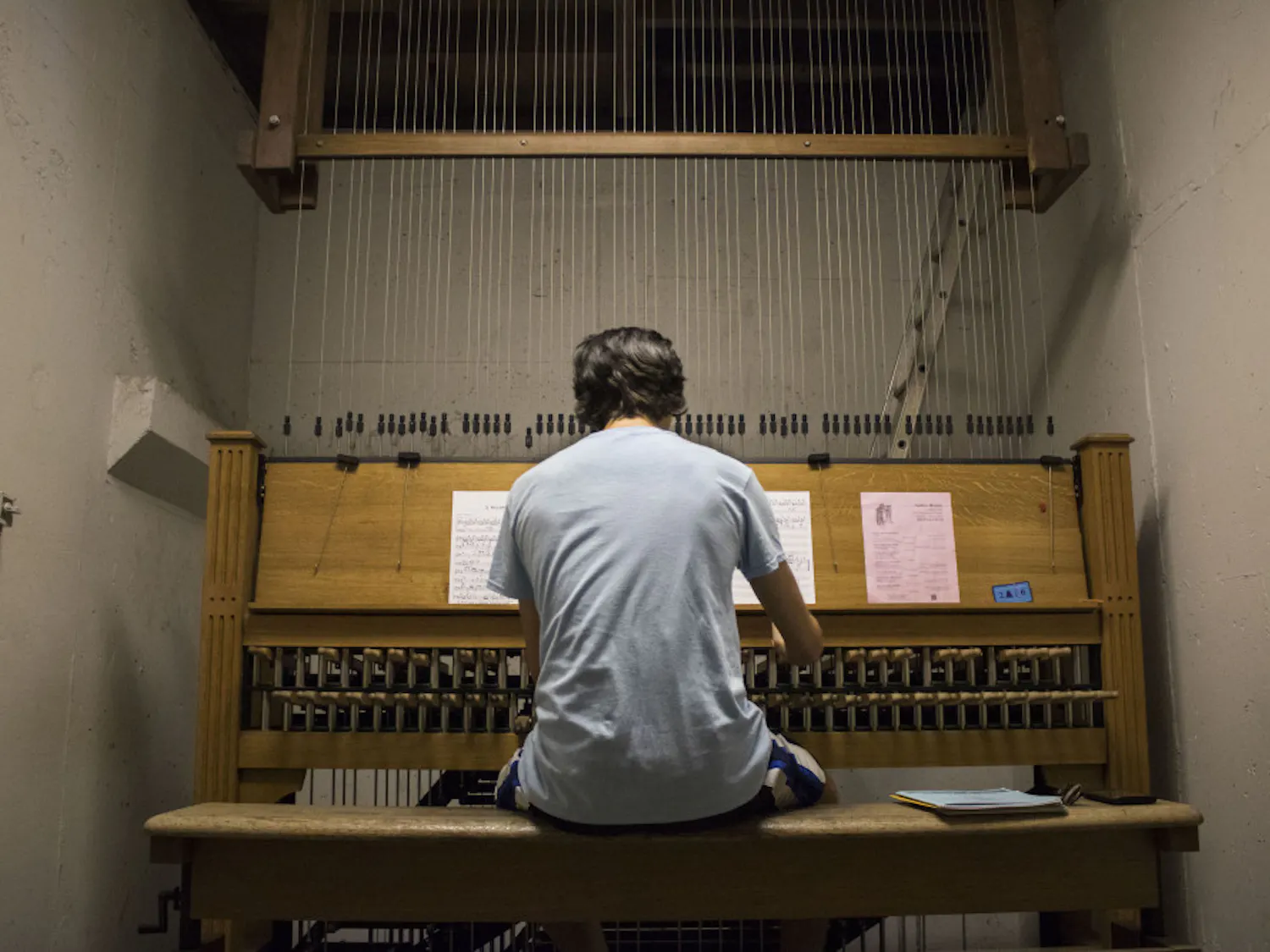 Wade FitzGerald, 22-year-old UF music senior, plays “Milonga” by Ronald Barnes on the carillon in Century Tower. FitzGerald has played the piano since he was five and learned to play the carillon his sophomore year, when he enrolled in the UF Carillon Studio. “You get to learn an instrument,” he said about the studio program, “and you get to brag to people that you play one of the rarest instruments in the world.”