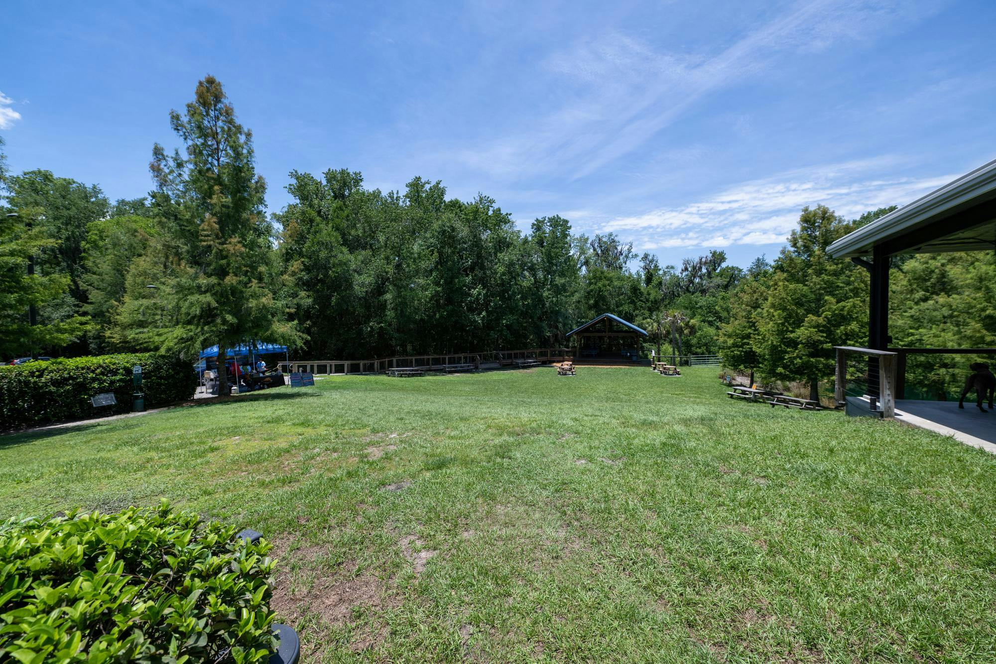 A field outside Swamp Head Brewery in Gainesville, Fla., which is holding its first annual "Grateful Dad" event for Father's Day on Sunday, June 21, 2026.