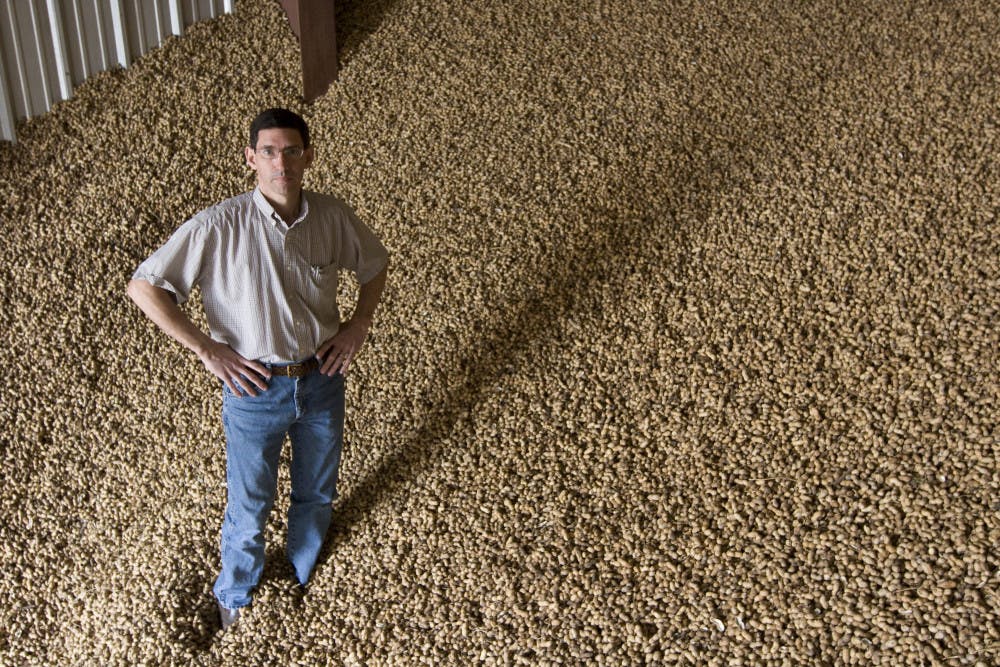 Agronomist Barry Tillman stands in peanuts. “The techniques that we develop could be utilized by others to build on for future improvements,” he said.