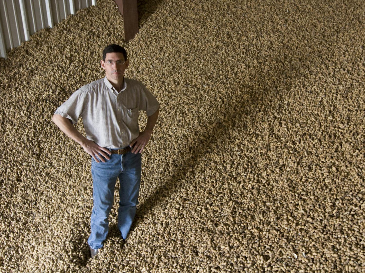 Agronomist Barry Tillman stands in peanuts. “The techniques that we develop could be utilized by others to build on for future improvements,” he said.