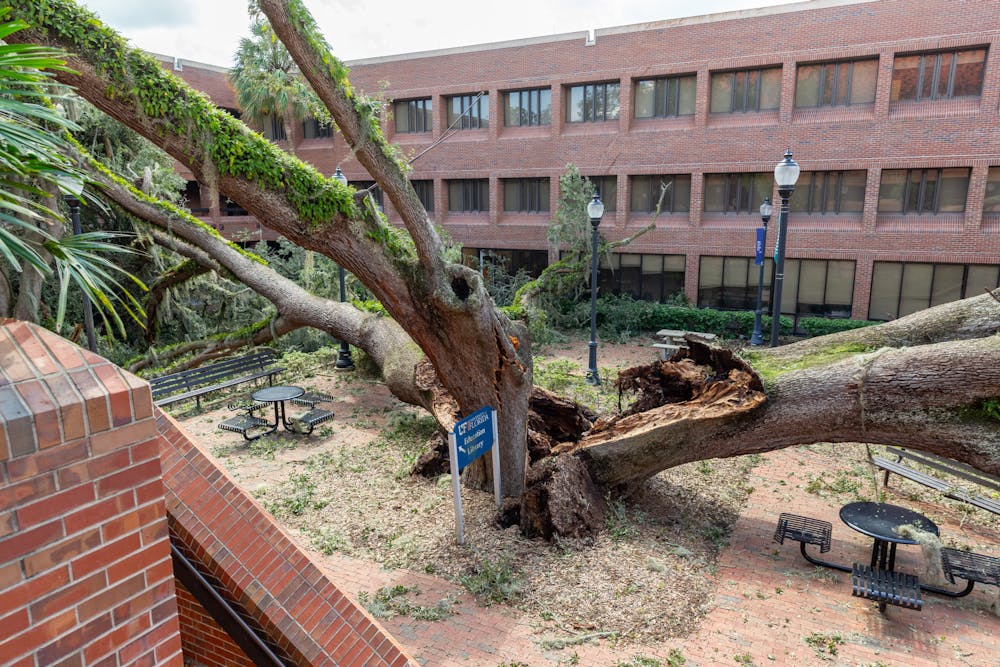 <p>A top down view of the Norman Hall oak tree that fell on Thursday, Sept. 26.</p>