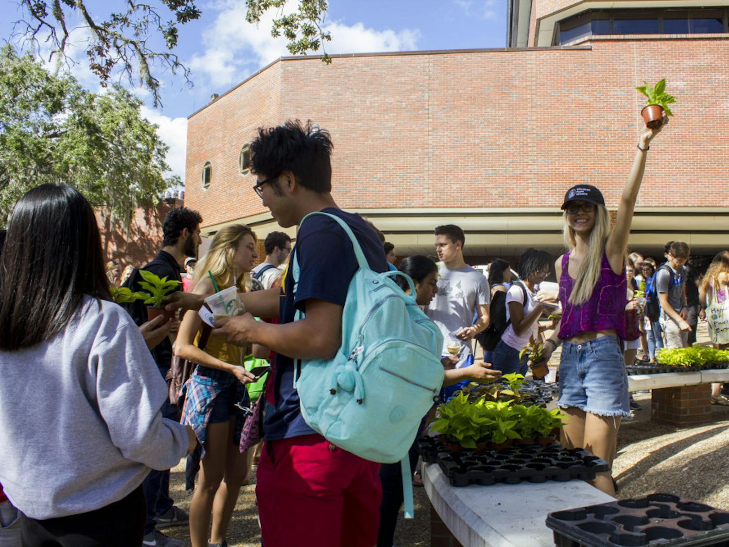 Grace Ebner, a volunteer and a TA for Plants, Gardens and You, passes out coleus plants to over 1,000 students in Turlington Plaza for Collegiate Plant Initiative.