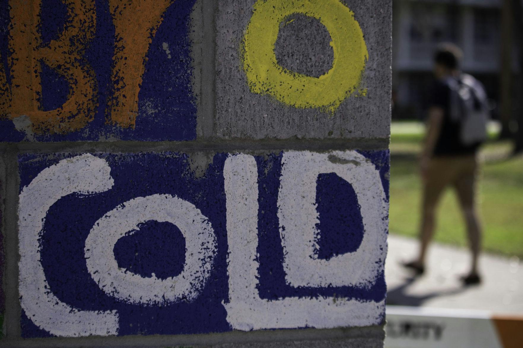 The Writing on the Wall event hosted by the IRHA allows students to write negative comments people have called them or insecurities that students might possess to raise awareness of the power of words. On Thursday, the students breakdown the wall representing the tearing down of these labels.&nbsp;