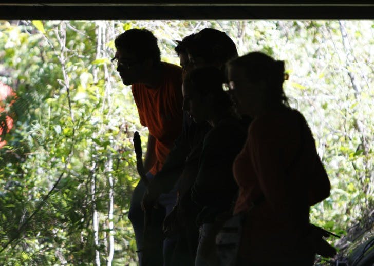 UF students and volunteers search a creek under the bridge off of Southwest 20th Avenue on Tuesday afternoon. The group was looking for Christian Aguilar, 18, who has been missing since Thursday.