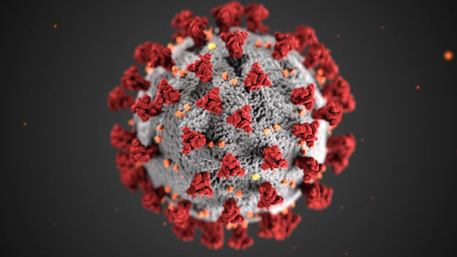 The COVID-19 virus.