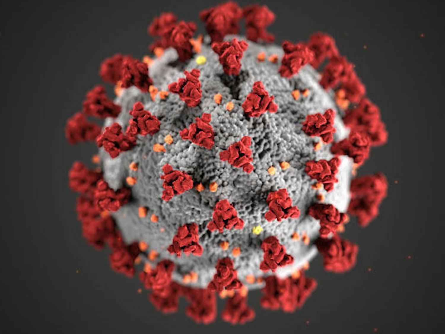 The COVID-19 virus.
