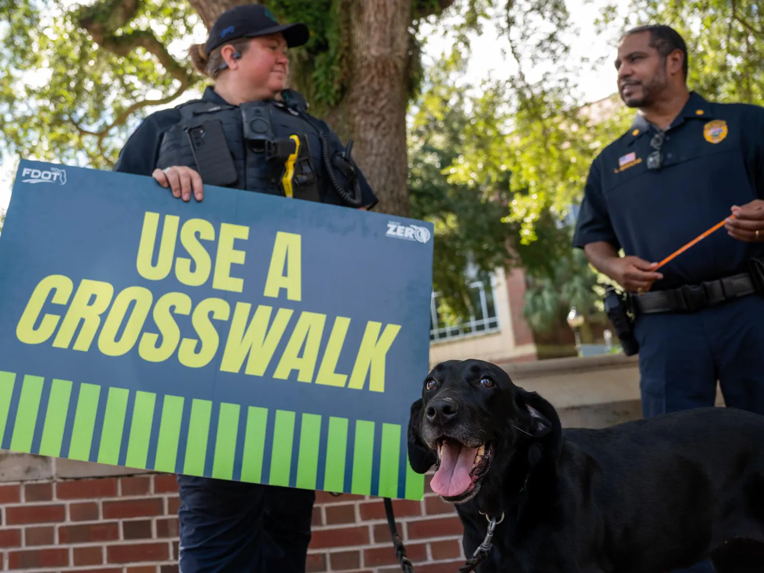 Signs urging pedestrians to use the crosswalk line the Newell Gateway, Monday, Aug. 31, 2026, in Gainesville, Fla.