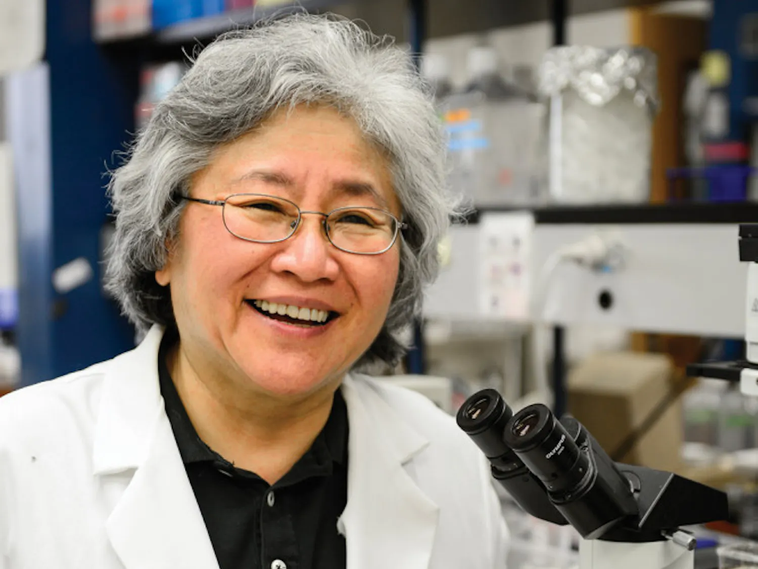 Janet Yamamoto, a UF professor in infectious diseases, has discovered a connection between feline AIDS and HIV that may lead to a vaccine for humans and a better vaccine for cats.