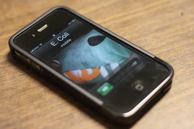 A study conducted by researchers in England found that 16 percent of cellphones have feces on their surfaces, which harbor the E.coli bacteria.