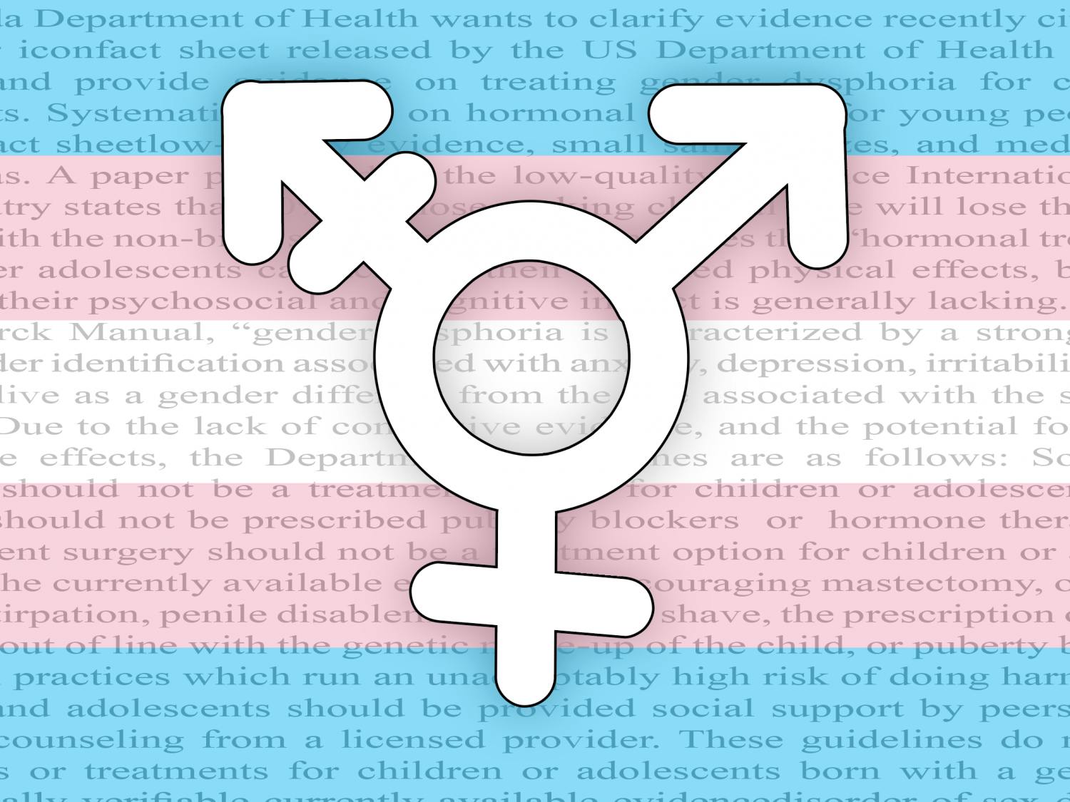 Nine members of the UF wildlife ecology and conservation department’s Inclusion, Diversity, Equity and Access Committee wrote a letter criticizing the guidelines and called upon the UF community to advocate for transgender healthcare access for children.