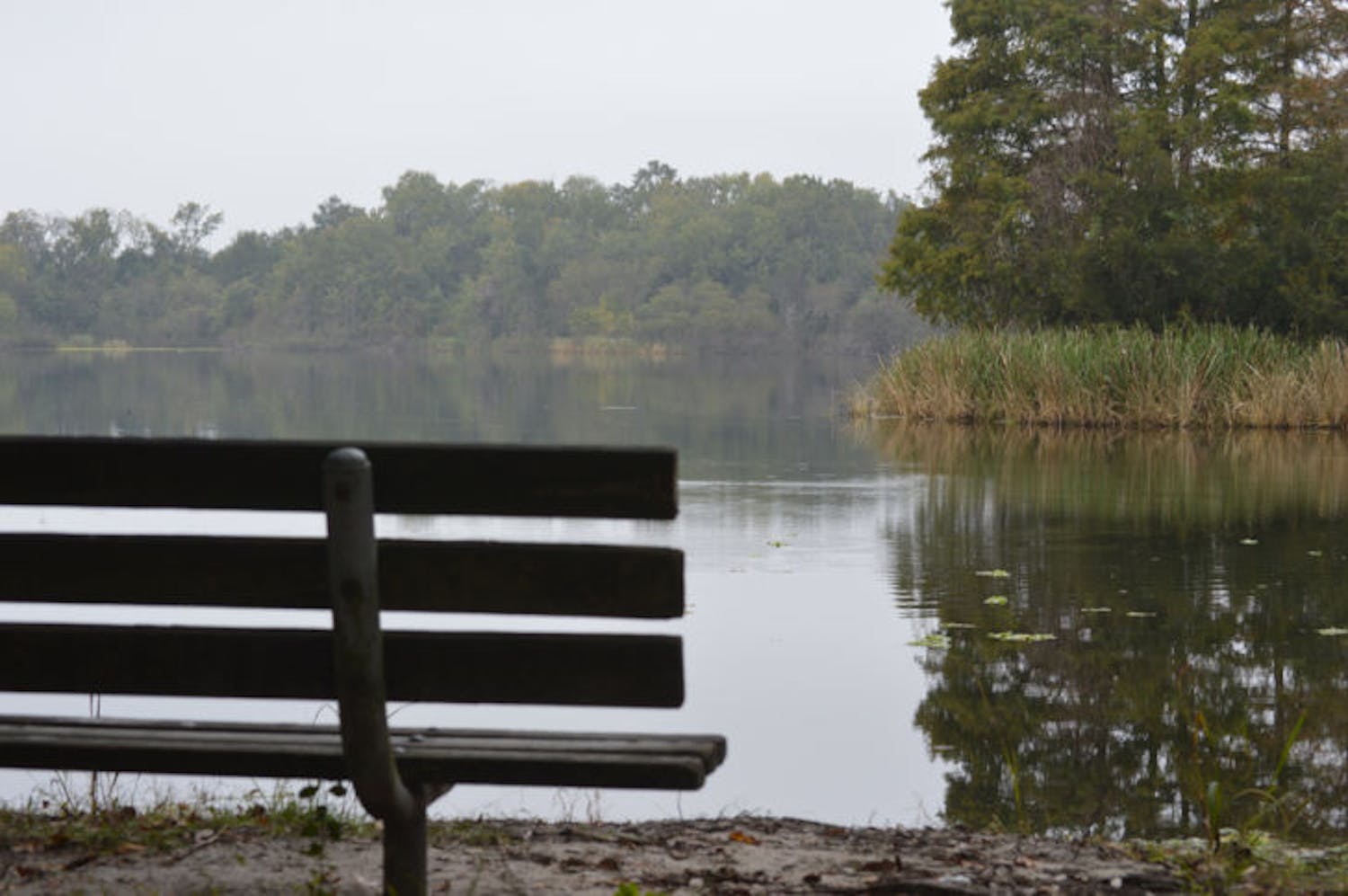 Lake Alice spans approximately 129.5 acres on UF campus.